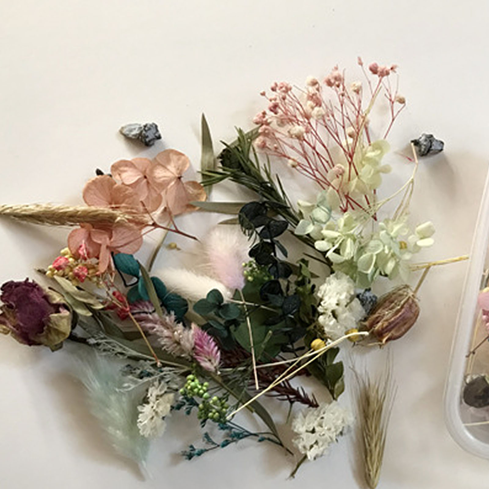 Kit de fleurs séchées naturell - Dried Herbs avis et prix