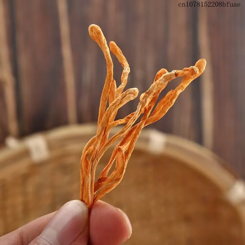 Fleurs de Cordyceps séchées 25 - Dried Herbs avis et prix